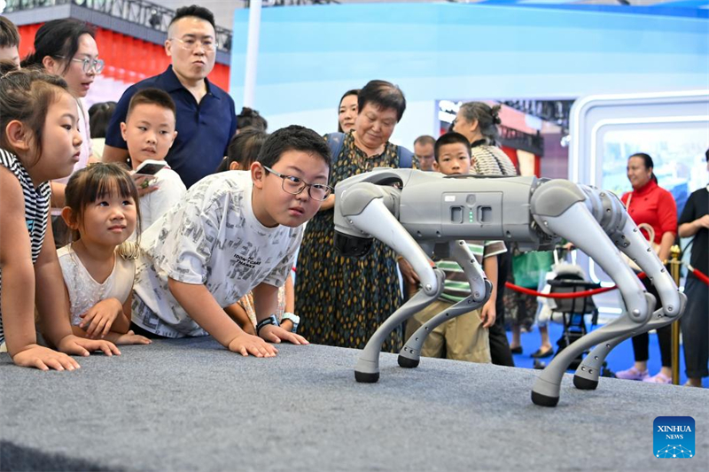 Η 7η ?κθεση Πολιτιστικ?ν Βιομηχανι?ν τη? επαρχ?α? Σανσ? πραγματοποι?θηκε στην π?λη Τα?γιου?ν