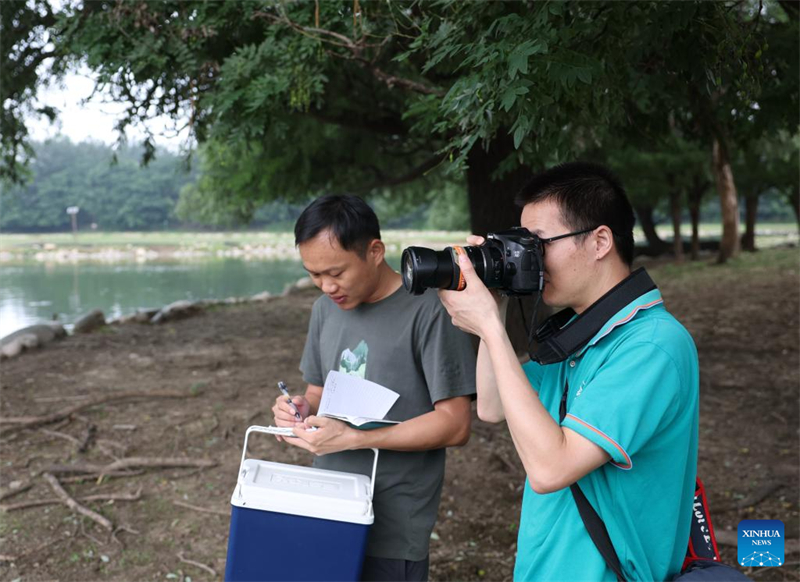 Οι ?γριοι πληθυσμο? των ελαφι?ν Μιλο? αποκαταστ?θηκαν στην Κ?να μετ? απ? 40 χρ?νια προσπαθει?ν διατ?ρηση?