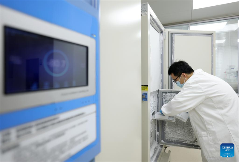 Οι ?γριοι πληθυσμο? των ελαφι?ν Μιλο? αποκαταστ?θηκαν στην Κ?να μετ? απ? 40 χρ?νια προσπαθει?ν διατ?ρηση?