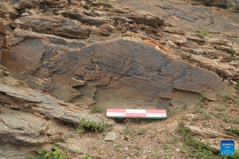 Αυτ? η φωτογραφ?α, που τραβ?χτηκε στι? 25 Ιουλ?ου του 2025, δε?χνει την χαραγμ?νη π?τρα τη? δυναστε?α? των Τσιν που ανακαλ?φθηκε στη β?ρεια ?χθη τη? λ?μνη? Γκαρ? στην κομητε?α Ματ?ου, στη βορειοδυτικ? επαρχ?α Τσινγκχ?ι τη? Κ?να?. 