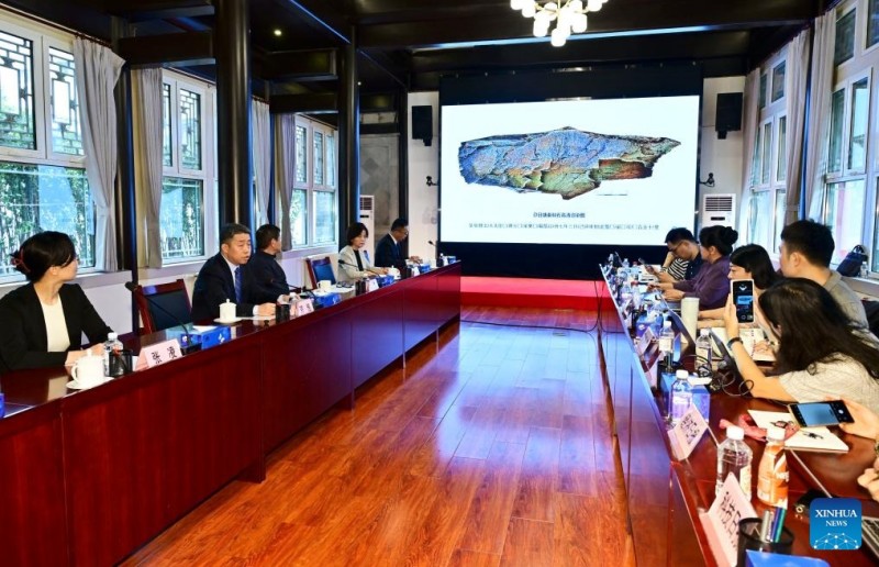 Η Κ?να ανακαλ?πτει την π?τρα με χαρ?γματα τη? δυναστε?α? των Τσιν που βρ?σκεται στο μεγαλ?τερο υψ?μετρο στο οροπ?διο του Τσινγκχ?ι-Θιβ?τ