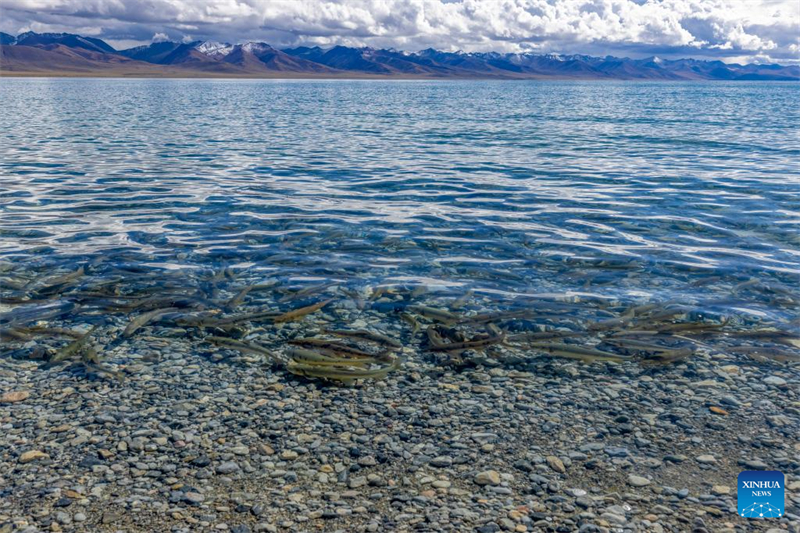 Τοπ?ο τη? Λ?μνη? Ναμ Τσο τη? Αυτ?νομη Περιοχ? Σιτζ?νγκ