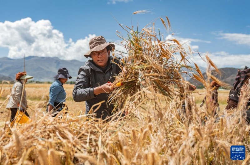 Γιορτ?ζεται το Φεστιβ?λ Συγκομιδ?? των Αγροτ?ν τη? Κ?να?