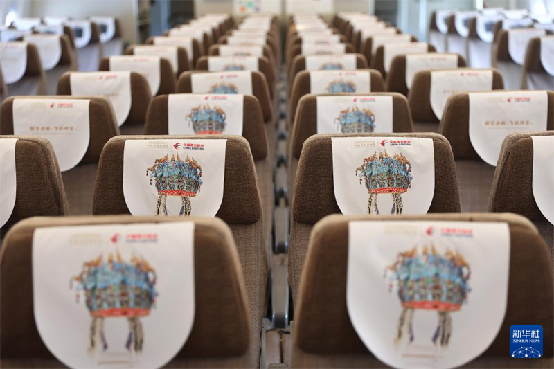 Το ζωγραφισμ?νο θεματικ? αεροπλ?νο ?Γκουομπ?? πρ?κειται να πραγματοποι?σει την παρθενικ? του πτ?ση