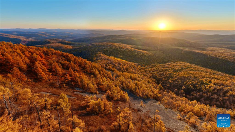 Φθινοπωριν? τοπ?ο στην Εσωτερικ? Μογγολ?α