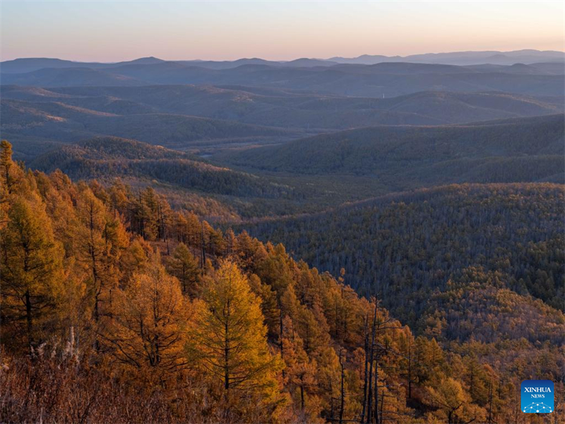 Φθινοπωριν? τοπ?ο στην Εσωτερικ? Μογγολ?α