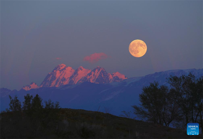 Η πανσ?ληνο? θαυμ?ζεται σε ?λη την Κ?να κατ? τη δι?ρκεια του Φεστιβ?λ του Μεσοφθινοπ?ρου