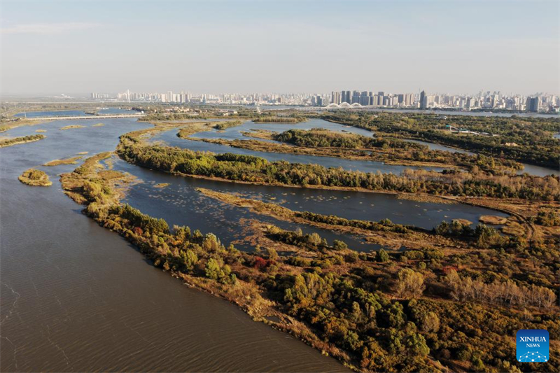 Φθινοπωριν? τοπ?ο των υγροτ?πων στην π?λη Χαρμπ?ν