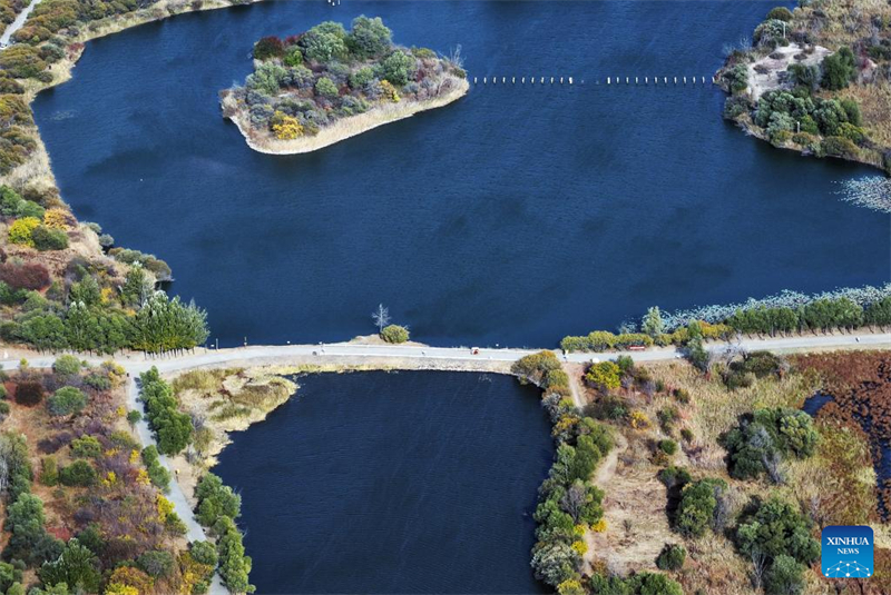 Φθινοπωριν? τοπ?ο των υγροτ?πων στην π?λη Χαρμπ?ν