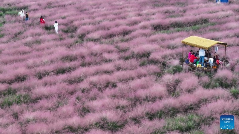 Φθινοπωριν??τοπ?α σε ?λη την Κ?να