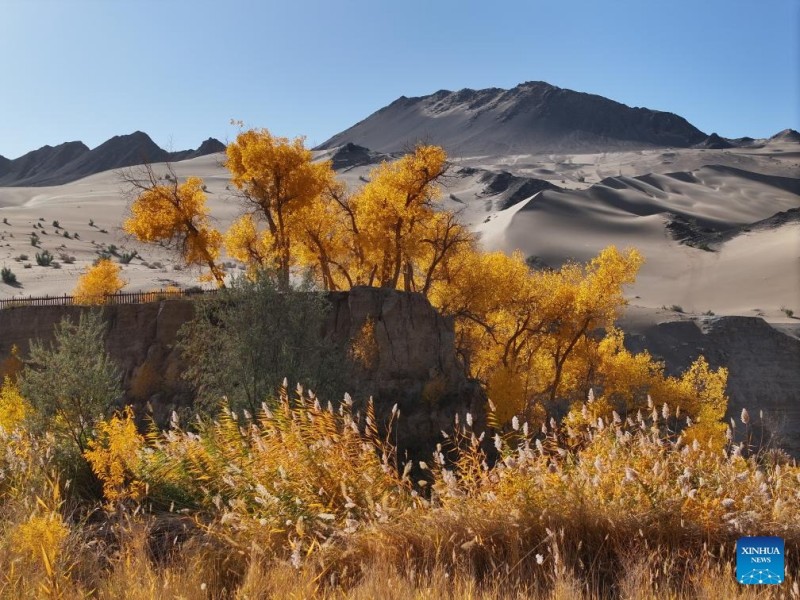 Φθινοπωριν??τοπ?α σε ?λη την Κ?να