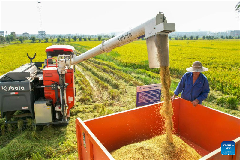 Η Κ?να εισ?ρχεται στην περ?οδο αιχμ?? τη? φθινοπωριν?? συγκομιδ??