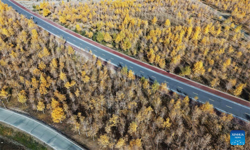 Οι χρυσαφ?νιε? μ?ρε? του φθινοπ?ρου προσελκ?ουν ανθρ?που? σε εξωτερικο?? χ?ρου? σε ?λη την Κ?να