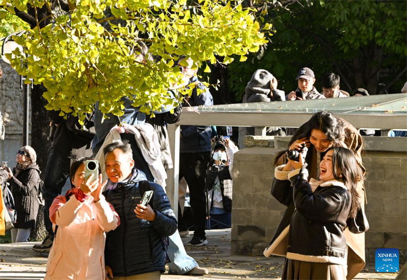 Το Μουσε?ο Λιθογλυπτικ?? Τ?χνη? του Πεκ?νου προσελκ?ει τουρ?στε?