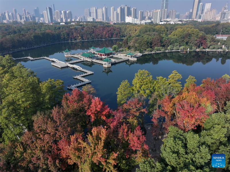 Φθινοπωριν? τοπ?ο σε ?λη την Κ?να