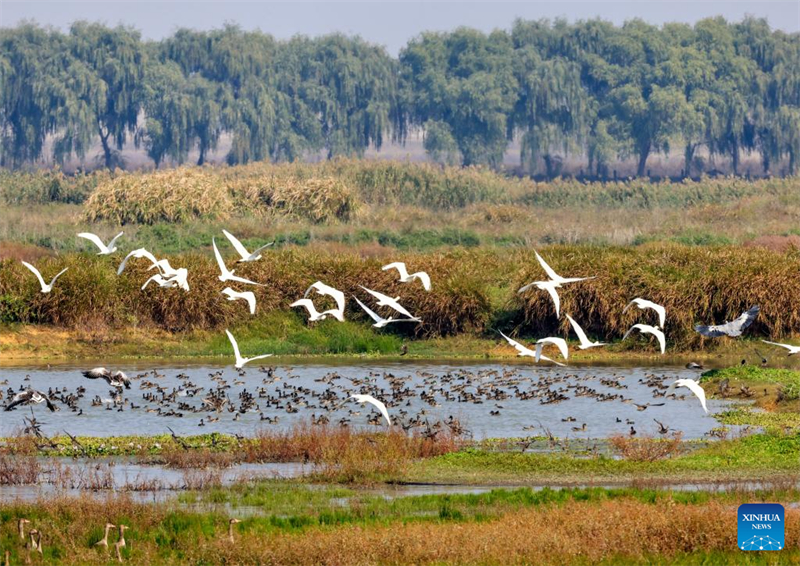 Φθινοπωριν? τοπ?ο σε ?λη την Κ?να