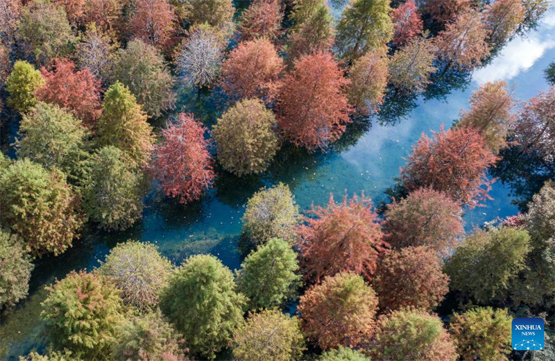 Φθινοπωριν? τοπ?ο σε ?λη την Κ?να