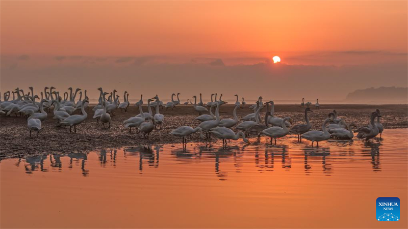 Φθινοπωριν? τοπ?ο σε ?λη την Κ?να