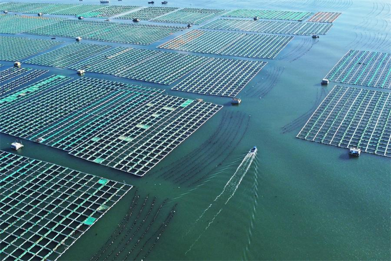 Η επαρχ?α Σαντ?νγκ κατασκευ?ζει θαλ?σσιε? φ?ρμε? για να εμπλουτ?σει την ?αποθ?κη μπλε τροφ?μων?