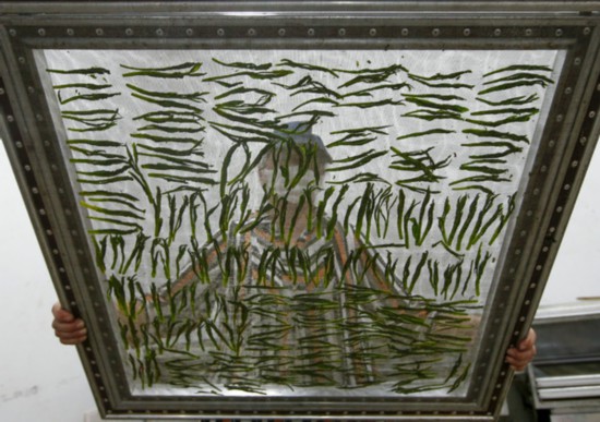 Τα?π?νγκ Χοουκο?ι [Φωτογραφ?α/Xinhua]